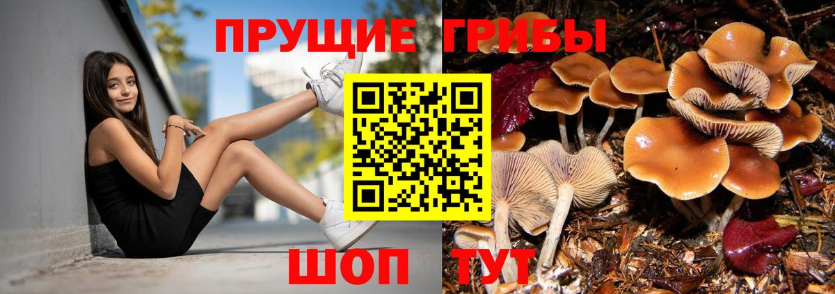 Псилоцибиновые грибы прущие грибы  Вход с VPN  Галлюциногенные грибы GOLDEN TEACHER  Бор 